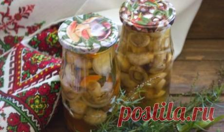 Мариновані печериці в домашніх умовах на зиму,рецепт приготування