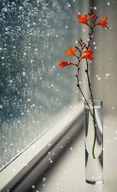 14%2520-%25201.gif (288×473)