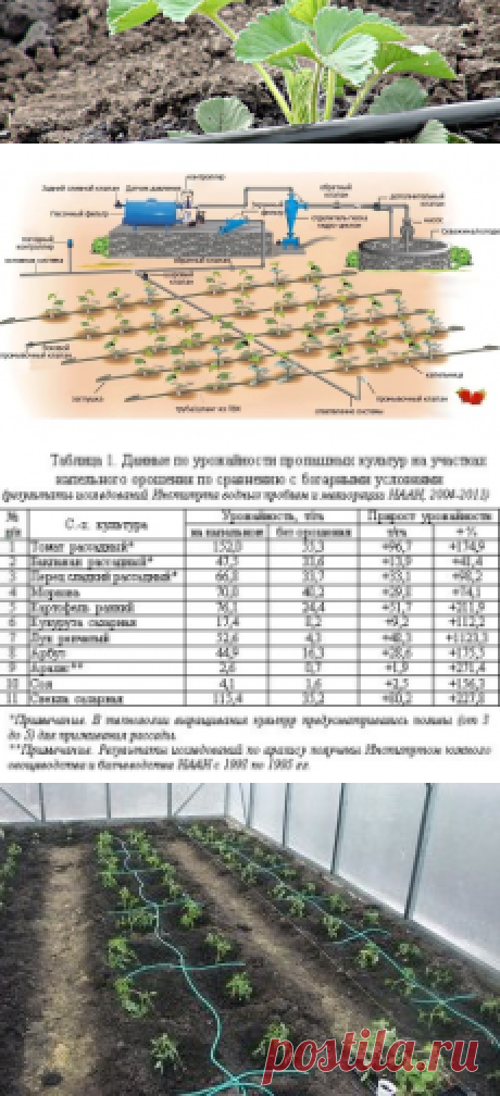 Расход воды при капельном поливе теплицы