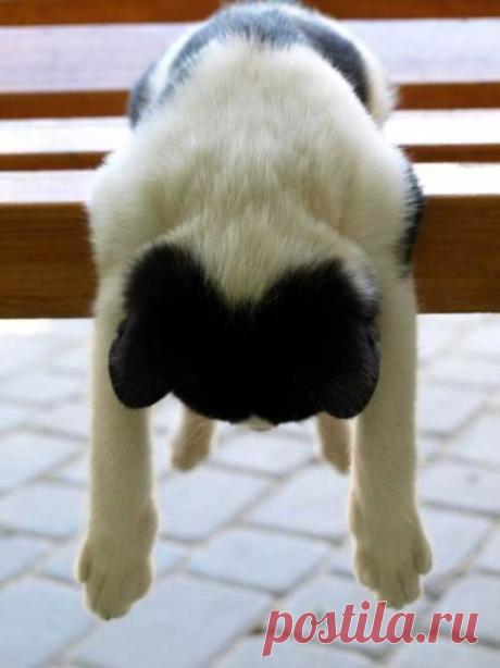 CyBeRGaTa - Cats, Memes, New Mexico