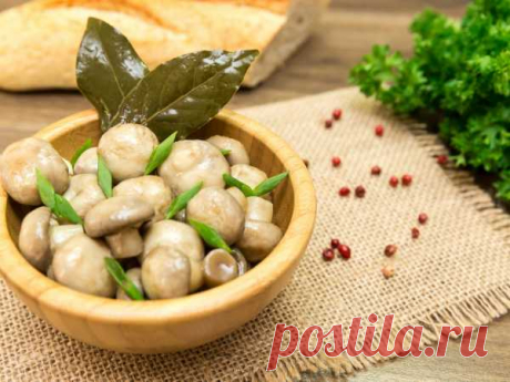 Быстрые закуски - рецепты с фото. Вкусные закуски на скорую руку.