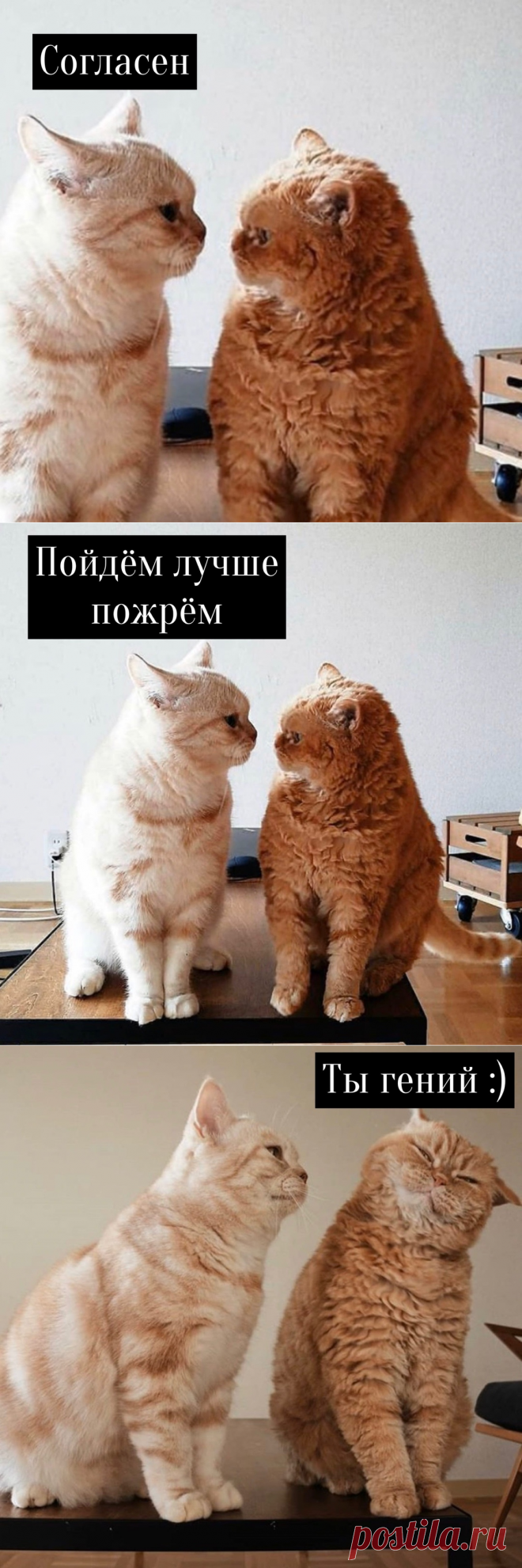 Пусть каждая ссора заканчивается примерно так
