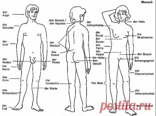 Человек / Изучение немецкого языка