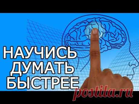 Как ЛЕГКО стать умным БЕЗ высшего образование – Как развить Мозг и повысить активность мозга