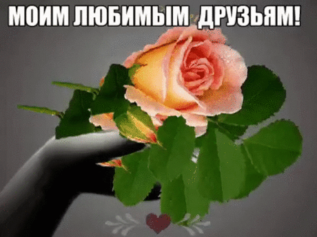 Моим любимым друзьям!