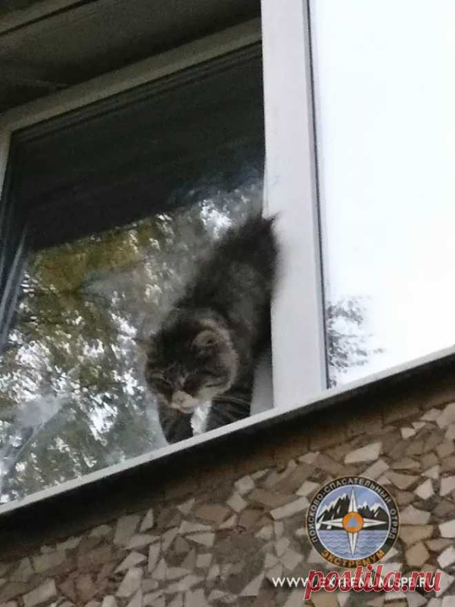 2:1 в пользу смерти