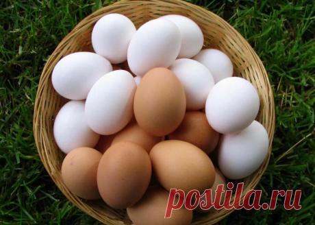 Почему яйца строго запрещается хранить в холодильнике