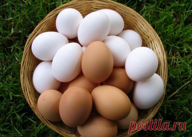 Почему яйца строго запрещается хранить в холодильнике
