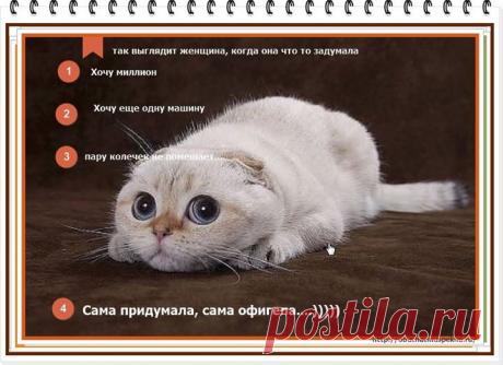 (1) Ольга Тарасова - Фото Хроники