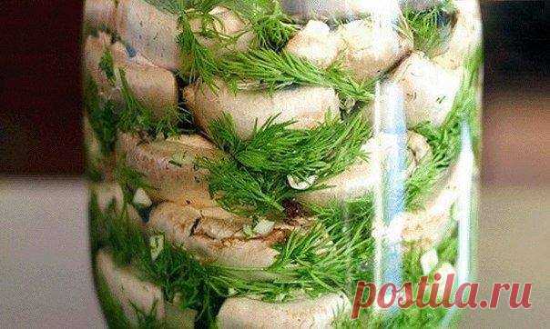НЕОБЫЧНО И ОЧЕНЬ ВКУСНО: МАЛОСОЛЬНЫЕ ШАМПИНЬОНЫ