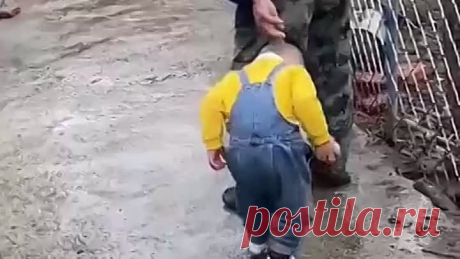 Моё видео.