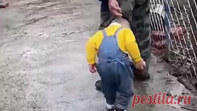 Моё видео.