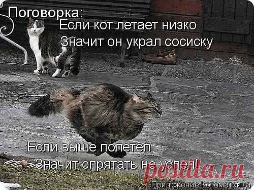 хааа...