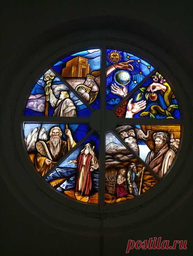 Как на меня напала старушка-антипрививочница | Штепан | Яндекс Дзен