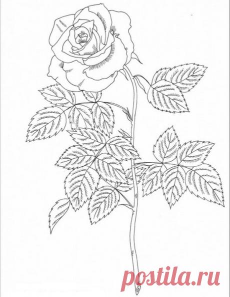 ЧУДЕСА РУКОДЕЛИЯ: Шаблоны для творчества - Розы. Подборка 2