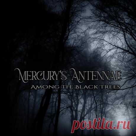 Mercury's Antennae - Among the Black Trees (2025) 320kbps / FLAC