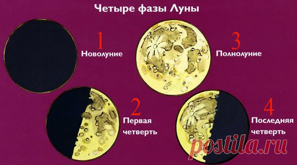 ЛУННЫЕ ФАЗЫ – СКОЛЬКО ИХ? | Познавательный сайт ,,1000 мелочей"