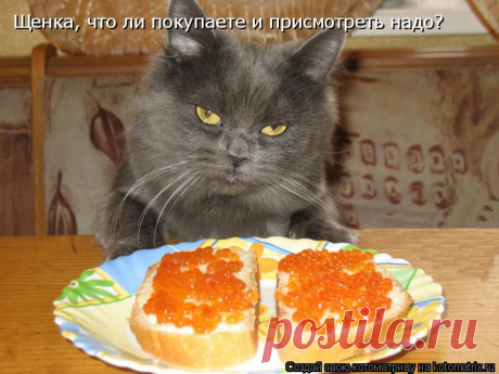 ЗА ЧТО ТАКАЯ ЩЕДРОСТЬ???