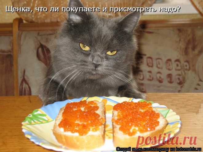 ЗА ЧТО ТАКАЯ ЩЕДРОСТЬ???