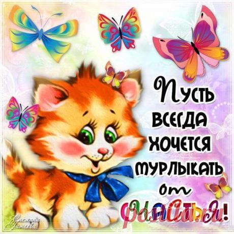 Пусть всегда хочется мурлыкать от счастья! - Открытки