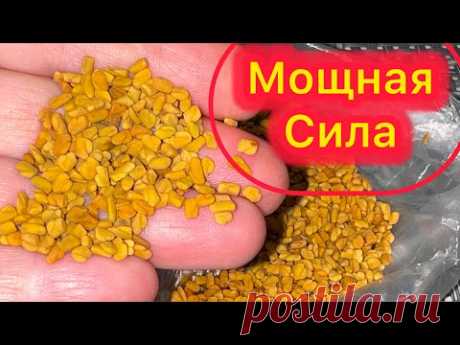 Выпила стакан и уже 5 лет ноги НЕ болят, ничем НЕ болею, САХАР рухнет вмиг, кости как новые.