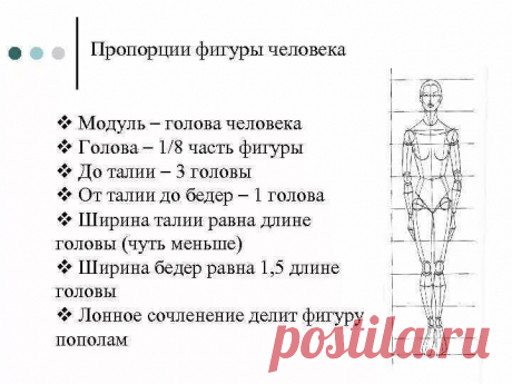 соотношение головы к туловищу в куклах: 2 тыс изображений найдено в Яндекс Картинках