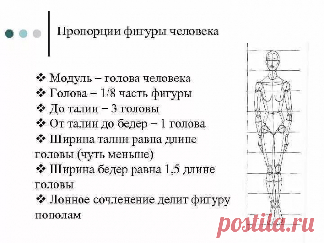 соотношение головы к туловищу в куклах: 2 тыс изображений найдено в Яндекс Картинках