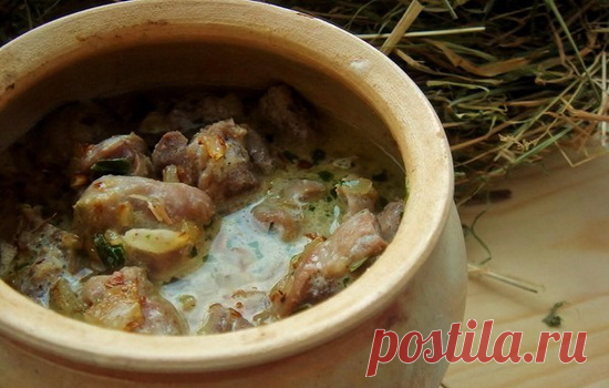 Куриные желудки в сметане – для любителей потрошков! Рецепты куриных желудков со сметаной в духовке, в мультиварке, в горшочках.