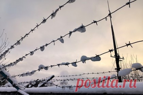 Арестованный в США россиянин признался в контрабанде. Проживающий в Гонконге россиянин Максим Марченко, которого США обвиняют в незаконной закупке американской микроэлектроники двойного и военного назначения для российских покупателей, признал свою вину. Об этом сообщает американский Минюст. 51-летний Марченко был арестован в сентябре 2023 года.