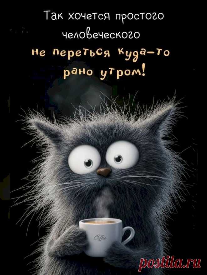 64a0cafe.jpg (735×978)