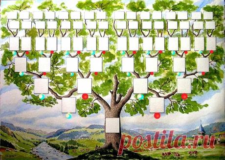 Plantilla de árbol genealógico (46 fotos)