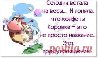 Картинки с юмором: прикольные надписи и фразы | В темпі життя