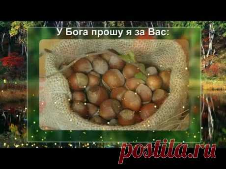 Видео поздравление с Ореховым спасом * МУЗыкальный подарОК