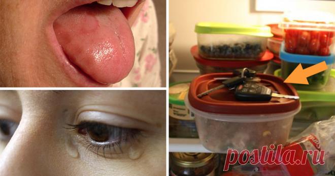 Симптомы дефицита витамина B12, которые большинство людей игнорируют - Журнал для женщин Это важно! Когда у вас хаотичная повседневная рутина, вы можете игнорировать, когда ваше тело говорит вам, что оно работает неправильно. Даже если вам нужен жизненно важный компонент. Одной из причин этого является количество кофеина, потребляемого сегодняшним обществом. Многие не понимают, что им нужен витамин B12 или другие вещи. Удивительно, что именно женщины уделяют меньше внимания […]