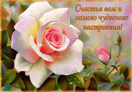 Я ЖЕЛАЮ ВАМ........