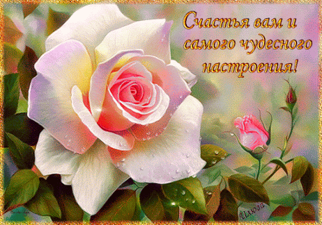 Я ЖЕЛАЮ ВАМ........