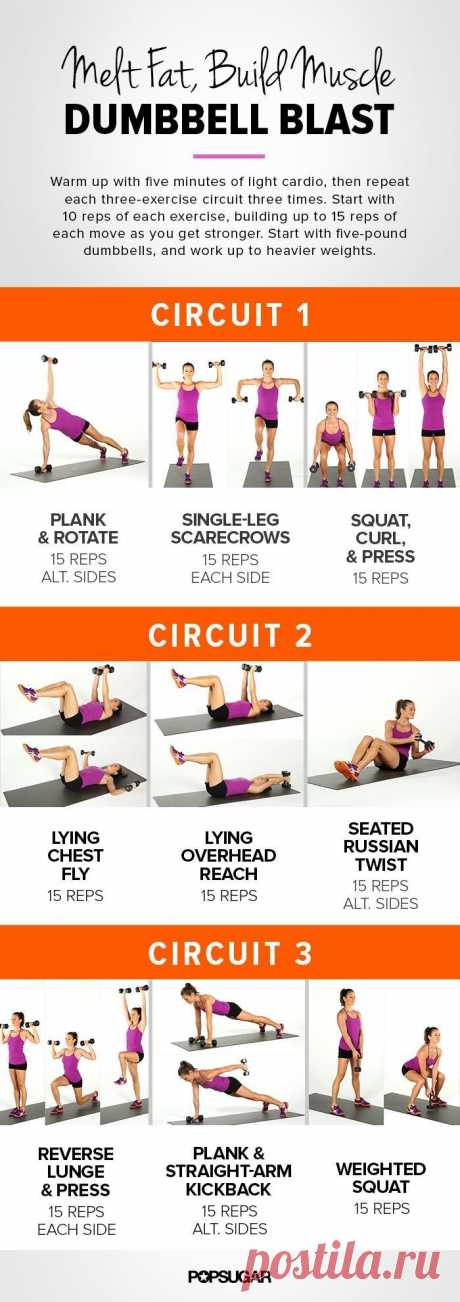Maximize Your Workout Results With Our Printable Dumbbell Workout
