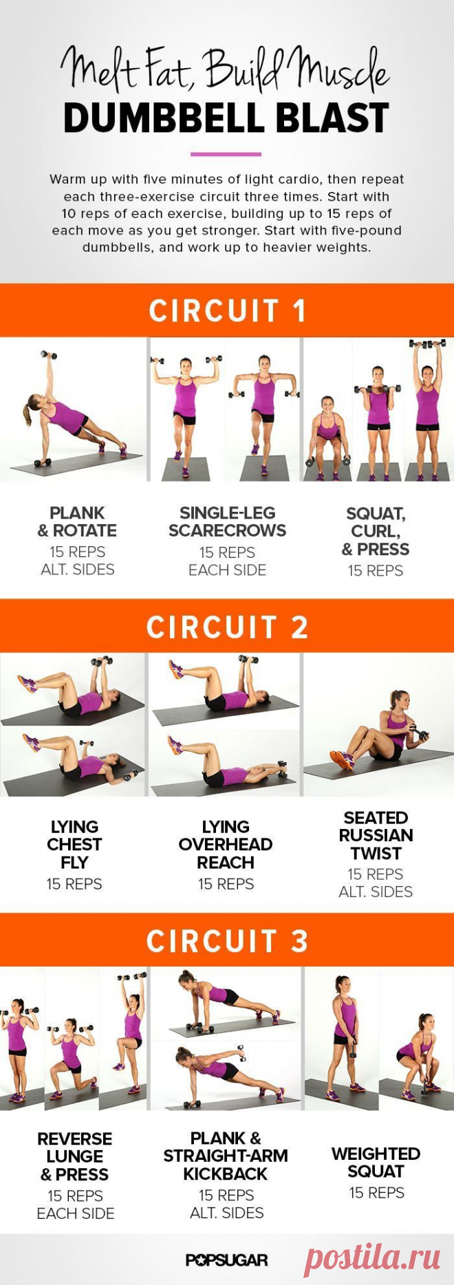 Maximize Your Workout Results With Our Printable Dumbbell Workout