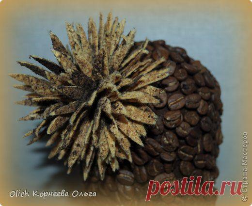 Ароматный цветок кактуса | Страна Мастеров