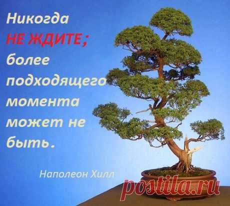 Цитаты в картинках