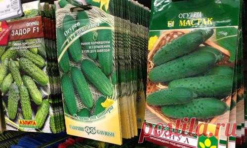 Семена: 10 самых популярных производителей семян