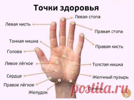 Возьмите на вооружение! 👍
Каждую свободную минутку можно делать массаж этих точек, тереть ладошки. Особенно, когда долго едешь в транспорте и нечем заняться.
Заберите себе в ленту, чтобы не потерять!