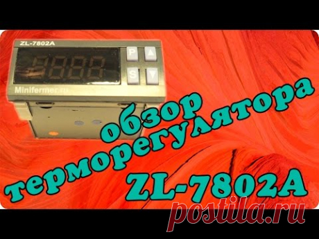 Обзор и инструкция терморегулятора для инкубатора Lilytech ZL-7802A