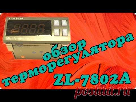 Обзор и инструкция терморегулятора для инкубатора Lilytech ZL-7802A