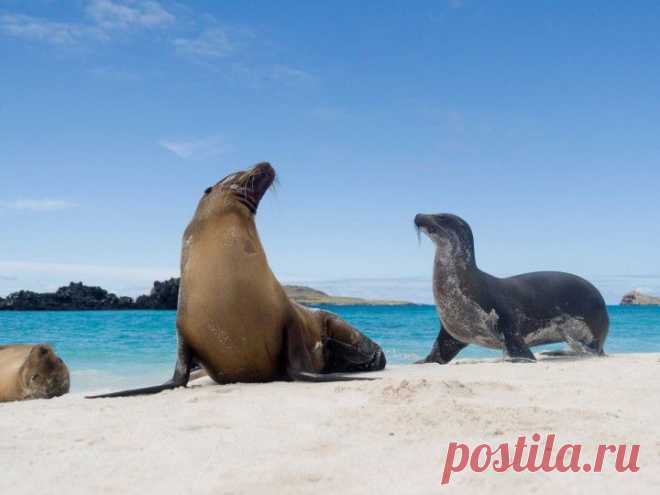 (+1) тема - 100 идей, куда отправиться в отпуск | ТУРИЗМ И ОТДЫХ