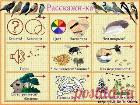 рукоделие, вязание, кулинария, домоводство