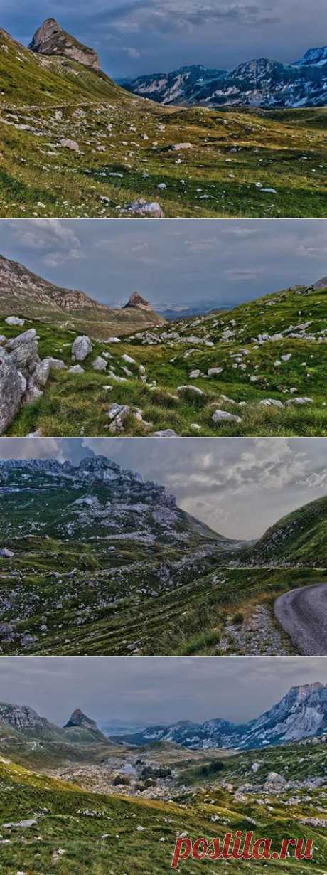 (5) Facebook