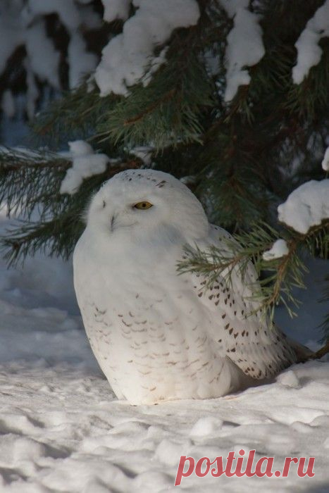 Gevonden op midwinter-dream.tumblr.com