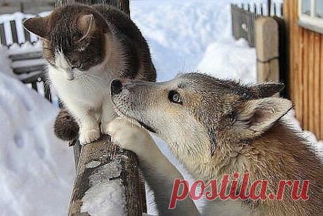 Лилия Советкина | ВКонтакте