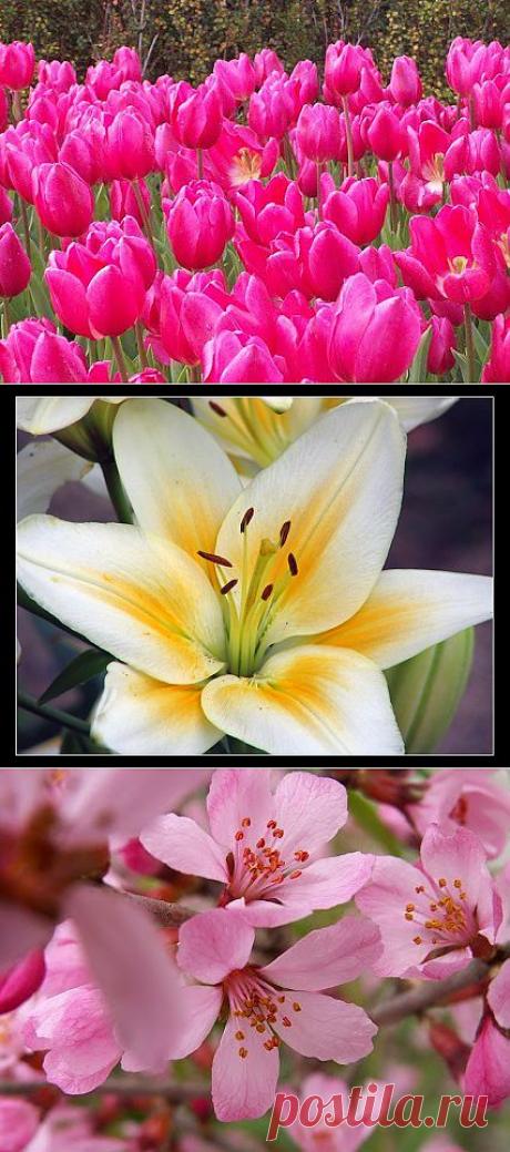 Николай Кедр – Google+
